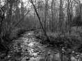 Winter stream