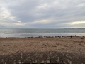 Exmouth Beach